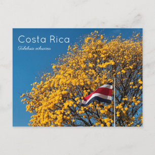 Corteza amarilla Costa Rica Briefkaart