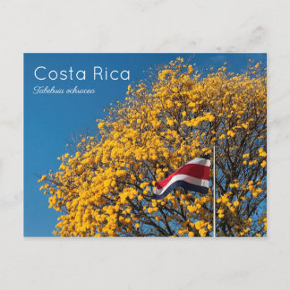 Corteza amarilla Costa Rica Briefkaart
