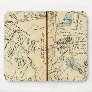 Cortlandt, New York 2 Muismat