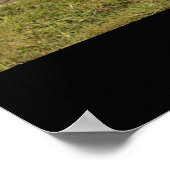 Corvette 1966 poster (Hoek)