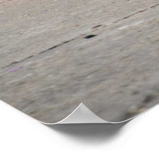 Corvette C7 Z06 Poster (Hoek)