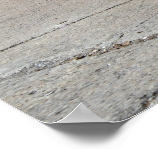 Corvette C7 Z06 Poster (Hoek)