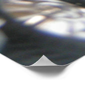 Corvette Poster (Hoek)