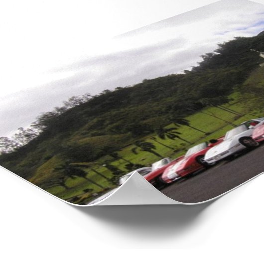 Corvettes Hawaii Poster (Hoek)