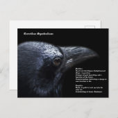 Corvidae-symboliek Briefkaart (Voorkant / Achterkant)