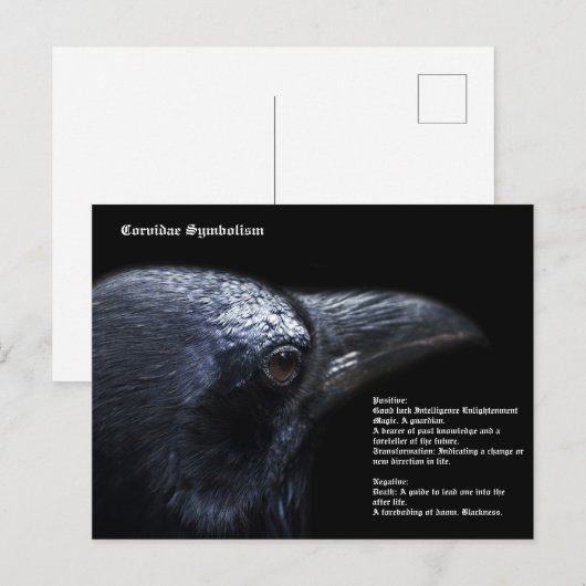 Corvidae-symboliek Briefkaart (Voorkant / Achterkant)