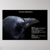 Corvidae Symbolisme Poster (Voorkant)