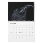 Corvidtopia Raven 2025 wandkalender Kalender (Mar 2027)