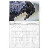Corvidtopia Raven 2025 wandkalender Kalender (Jan 2027)