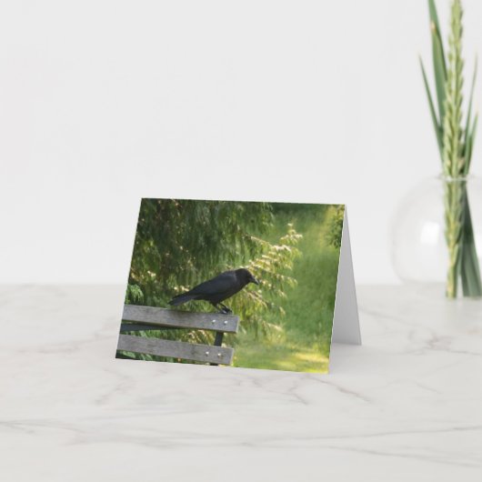 Corvus brachyrhynchos, Amerikaanse kraai Kaart (Voorkant)