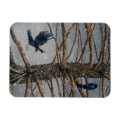 Corvus Corvidae en Cedar Magnet Magneet (Horizontaal)