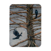 Corvus Corvidae en Cedar Magnet Magneet (Verticaal)