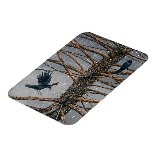 Corvus Corvidae en Cedar Magnet Magneet (Linkerzijde)