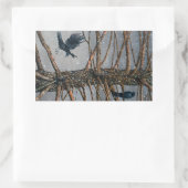 Corvus Corvidae en de Ceder Rechthoekige Sticker (Tas)