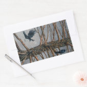Corvus Corvidae en de Ceder Rechthoekige Sticker (Envelop)