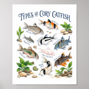 Cory Meerval Aquarel Aquarium Vis Kunst Poster