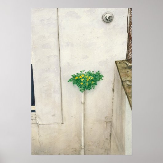 Corydalis lutea poster (Voorkant)