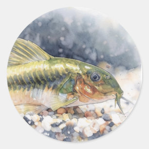 Corydoras groene laser meerval vis ronde sticker