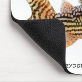 Corydoras Sterbai Catfish Mousepad Muismat (Hoek)