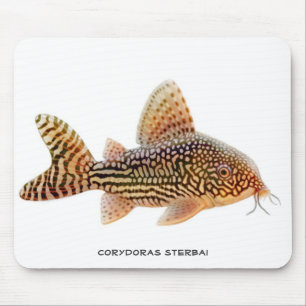 Corydoras Sterbai Catfish Mousepad Muismat