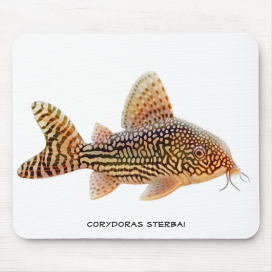 Corydoras Sterbai Catfish Mousepad Muismat (Voorkant)