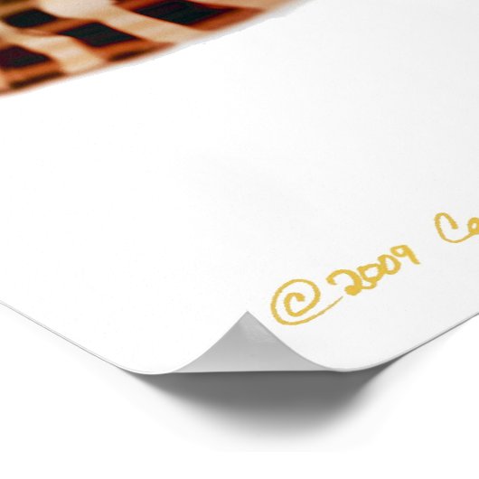 Corydoras Sterbai Catfish Print (Hoek)