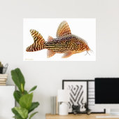 Corydoras Sterbai Catfish Print (Thuiskantoor)