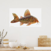 Corydoras Sterbai Catfish Print (Keuken)