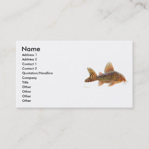 Corydoras Sterbai Catfish Profile Card Visitekaartje