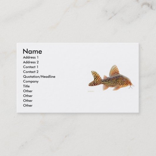 Corydoras Sterbai Catfish Profile Card Visitekaartje (Voorkant)