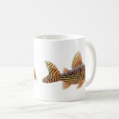 Corydoras Sterbai Mok (Voorkant rechts)