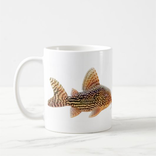 Corydoras Sterbai Mok (Links)