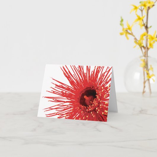 Corymbia ficifolia "Wildfire" foto bloemkaart Kaart (Gele Bloem)