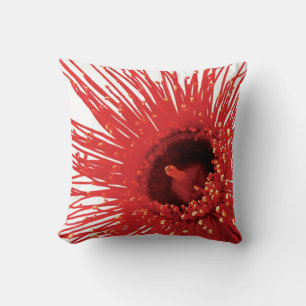 Corymbia ficifolia "Wildfire" foto vierkantskussen Kussen