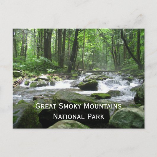 Cosby Creek, Great Smoky Mountain National Park Briefkaart (Voorkant)