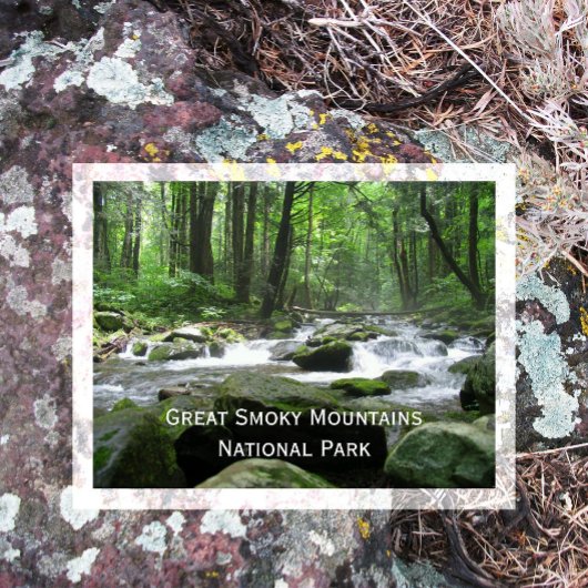 Cosby Creek, Great Smoky Mountain National Park Briefkaart