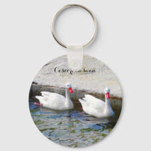 Coscoroba Swan #1 Sleutelhanger