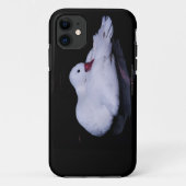 Coscoroba Swan P3442 Case-Mate iPhone Case (Achterkant)