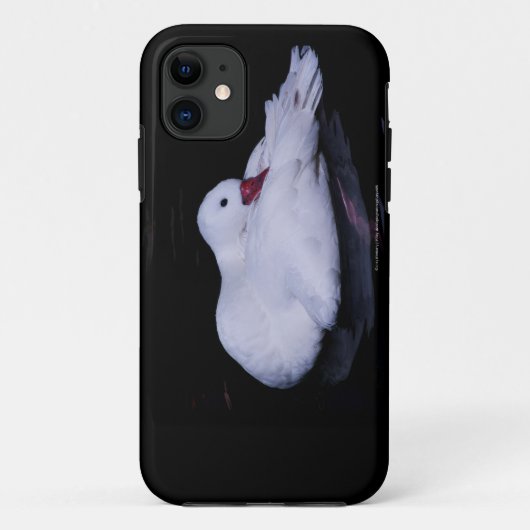 Coscoroba Swan P3442 Case-Mate iPhone Case (Achterkant)