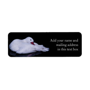 Coscoroba Swan P3442 Etiket