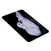 Coscoroba Swan P3442 Magneet (Rechterzijde)