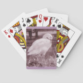 Coscoroba Swan Pokerkaarten (Achterkant)