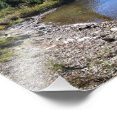 Cosley Lake Outlet - Nationaal Park Glacier Foto Afdruk (Hoek)