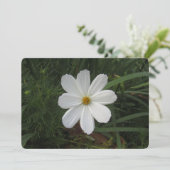 Cosmea Feestdagenkaart (Staand voorkant)