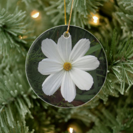 Cosmea Keramisch Ornament