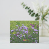 Cosmea & Koolzaadveld Beterschap Ansichtkaart Briefkaart (Staand voorkant)