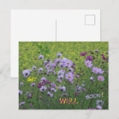 Cosmea & Koolzaadveld Beterschap Ansichtkaart Briefkaart (Voorkant / Achterkant)