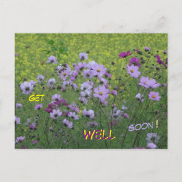 Cosmea & Koolzaadveld Beterschap Wenskaart Briefkaart