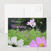 Cosmea, Veldbloemen Veld Verjaardagskaart Briefkaart (Voorkant / Achterkant)