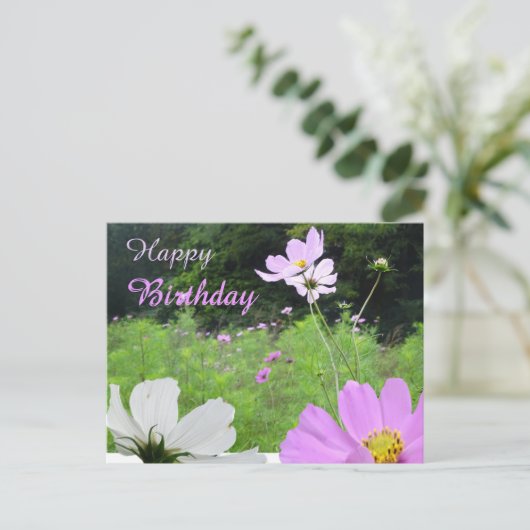 Cosmea, Wild Flowers Field Happy Birthday Briefkaa Briefkaart (Staand voorkant)